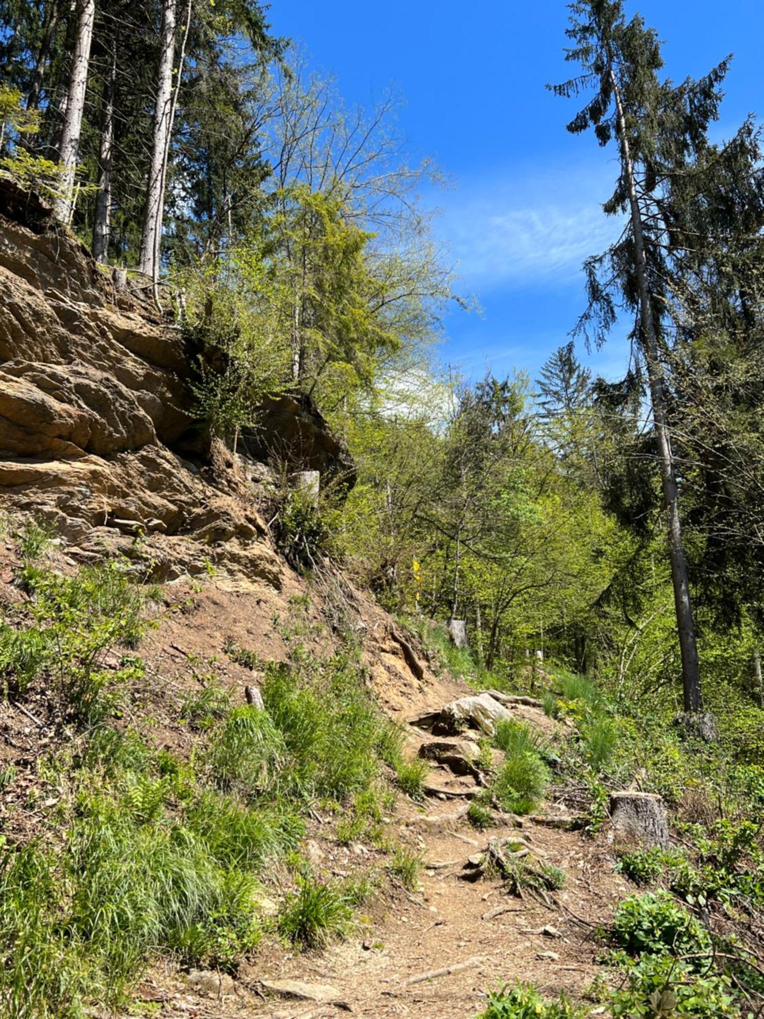 Ferienwohnung Mit Seeblick - Ossiacher See Gerlitzen Sattendorf المظهر الخارجي الصورة